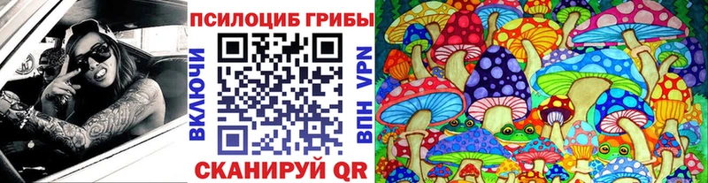 Псилоцибиновые грибы GOLDEN TEACHER  дарнет шоп  Дубовка 